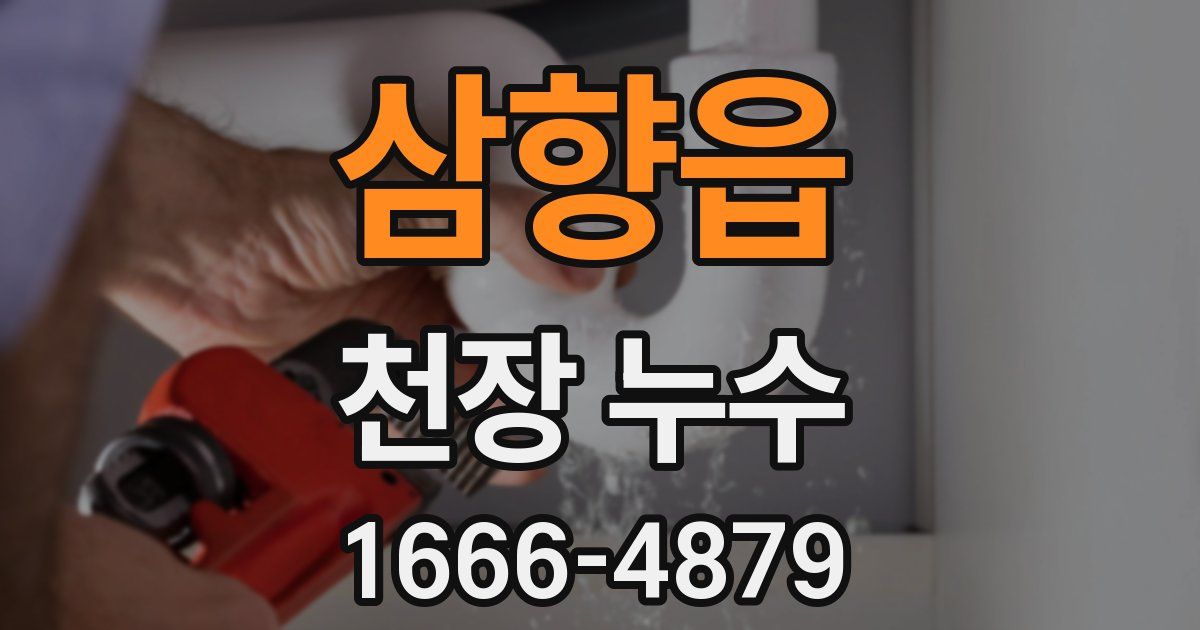 삼향읍 천장 누수