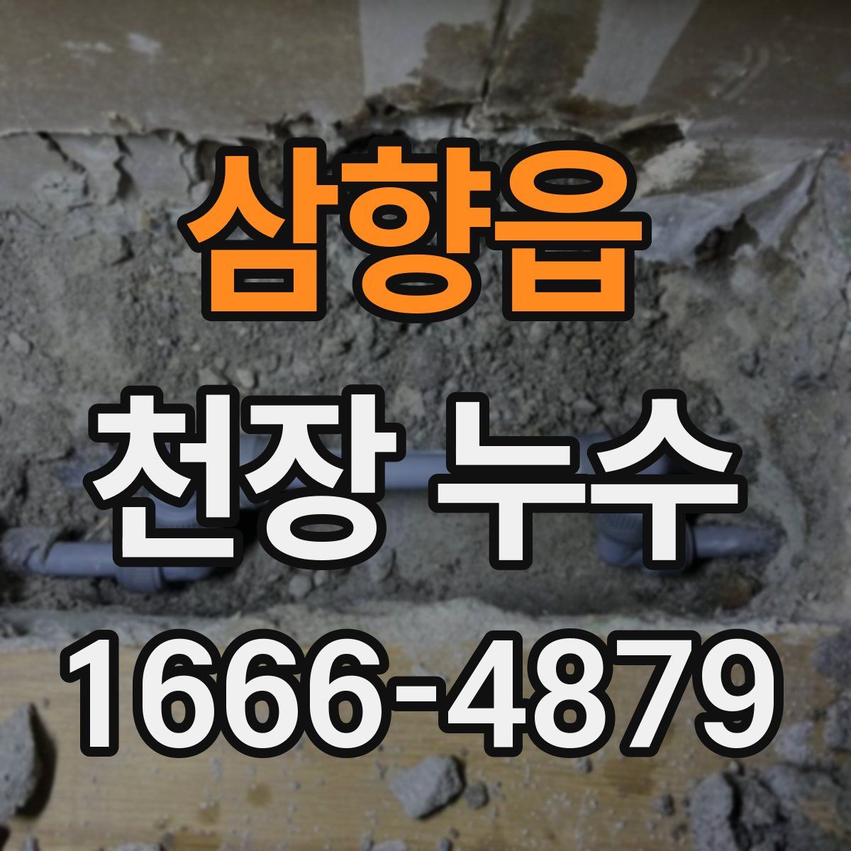 삼향읍 천장 누수