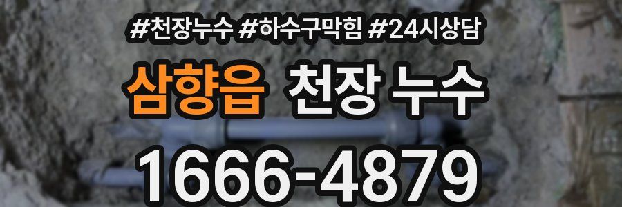 삼향읍 천장 누수