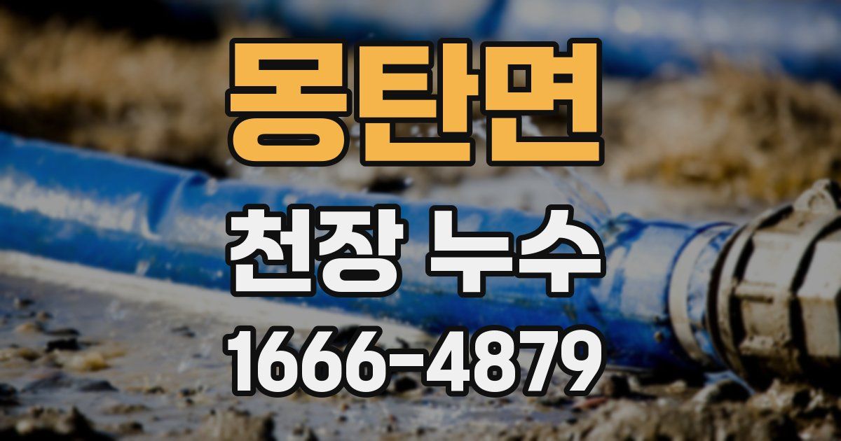 몽탄면 천장 누수