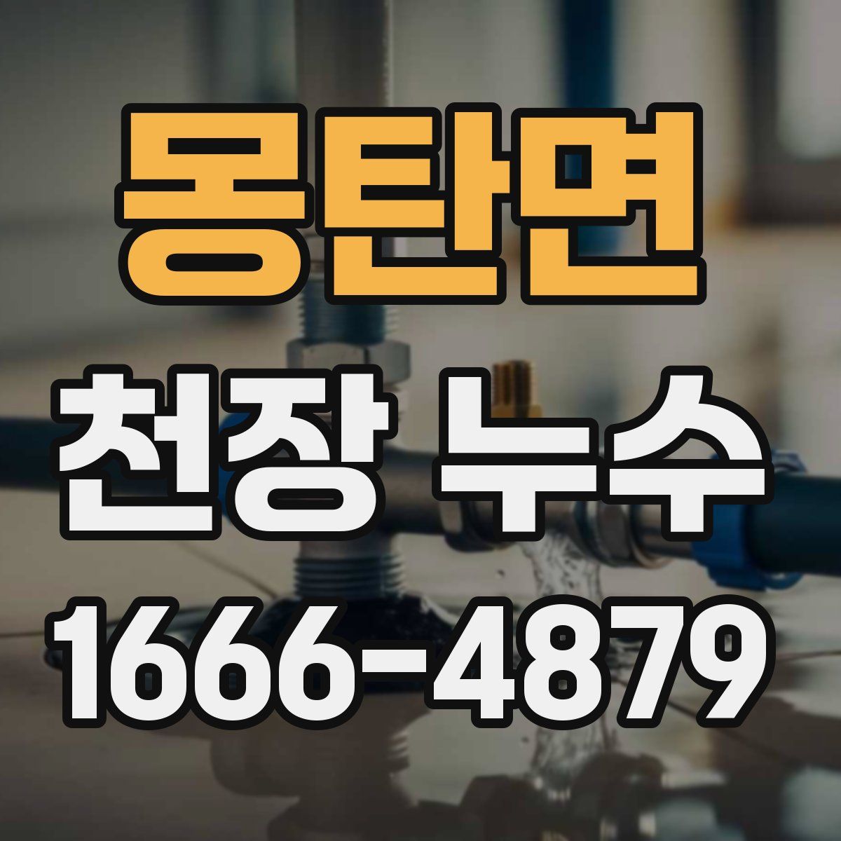 몽탄면 천장 누수