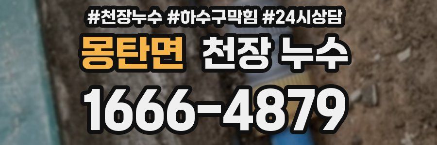 몽탄면 천장 누수