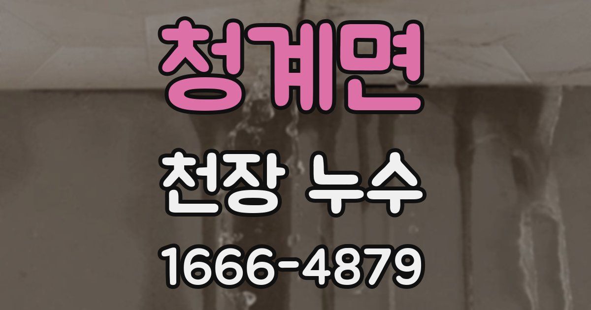 청계면 천장 누수