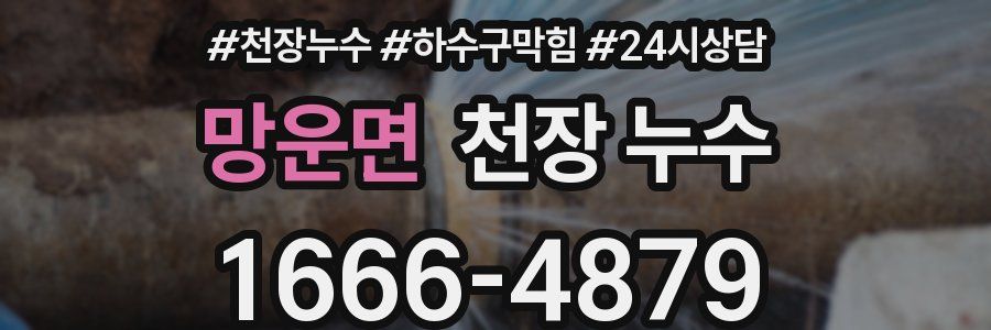 망운면 천장 누수