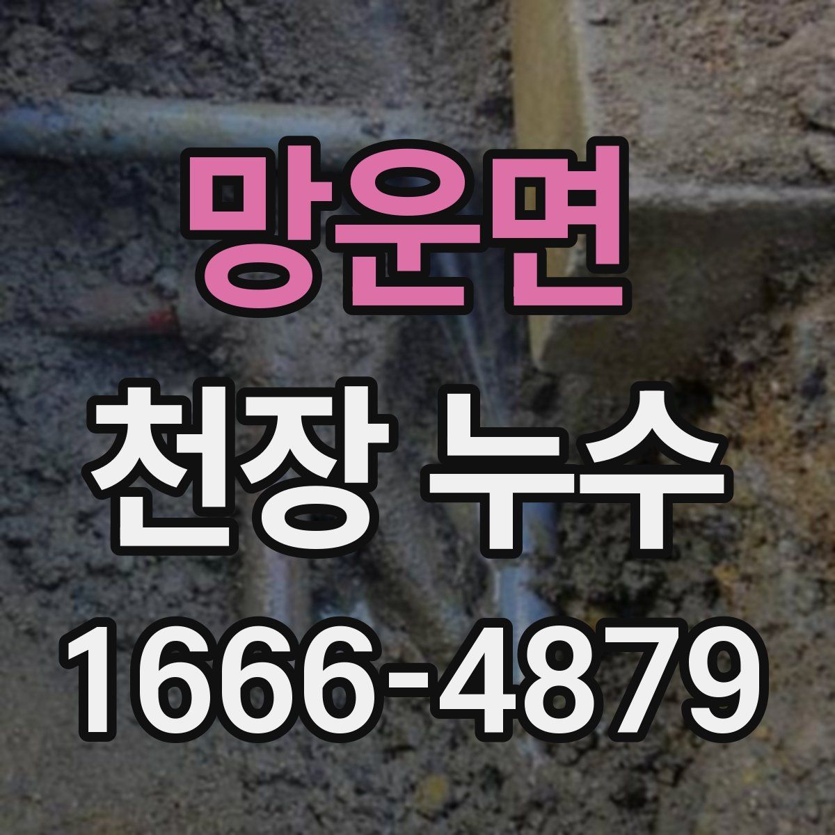 망운면 천장 누수