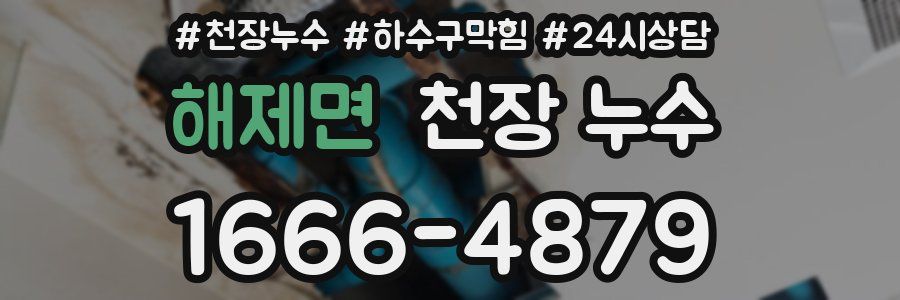 해제면 천장 누수