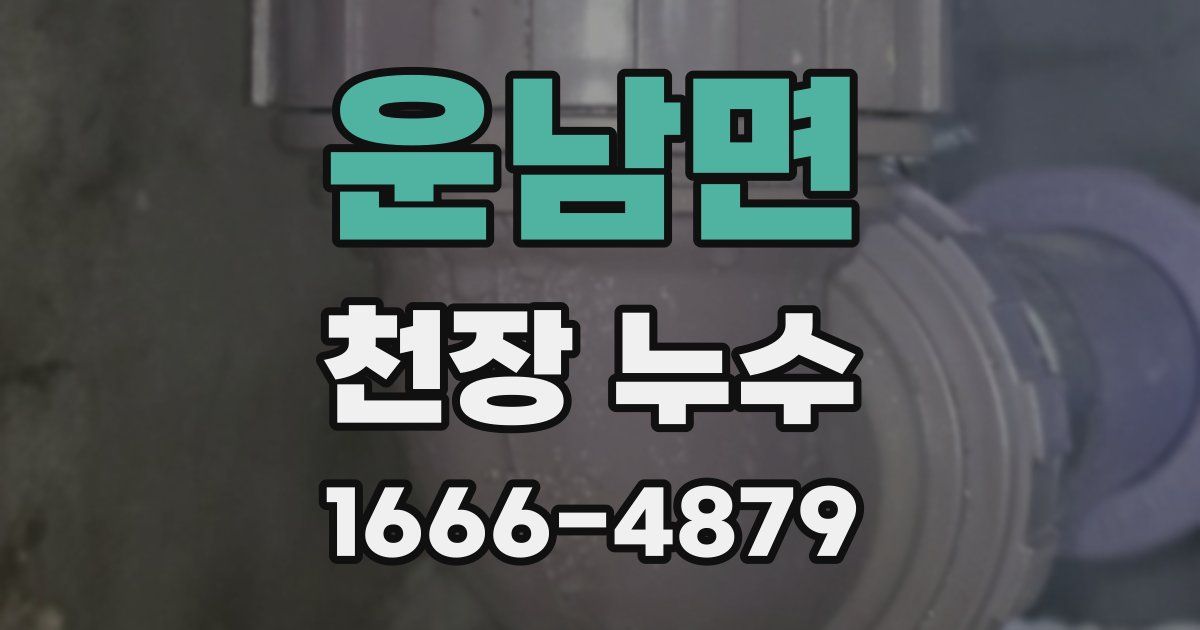 운남면 천장 누수