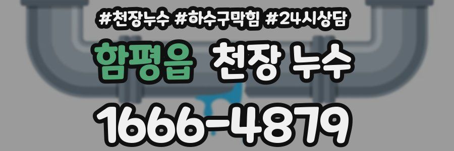 함평읍 천장 누수