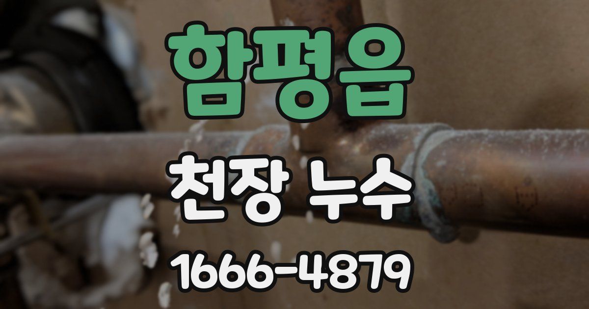 함평읍 천장 누수