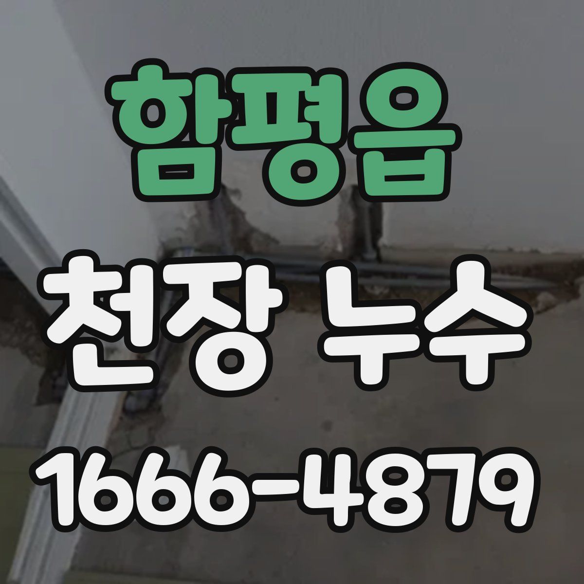 함평읍 천장 누수