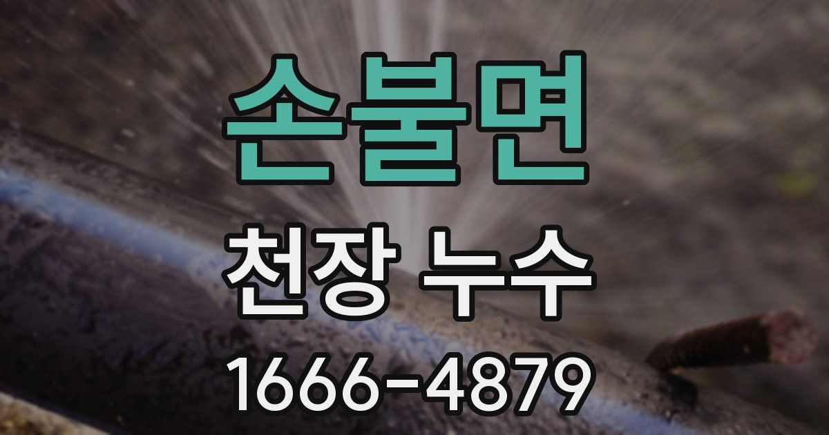 손불면 천장 누수