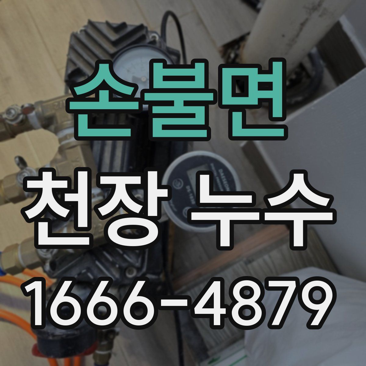 손불면 천장 누수