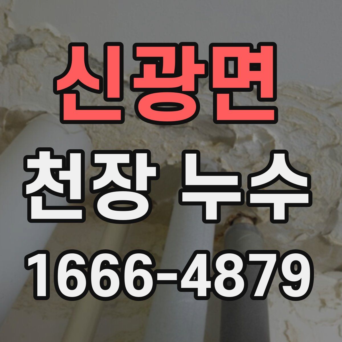 신광면 천장 누수