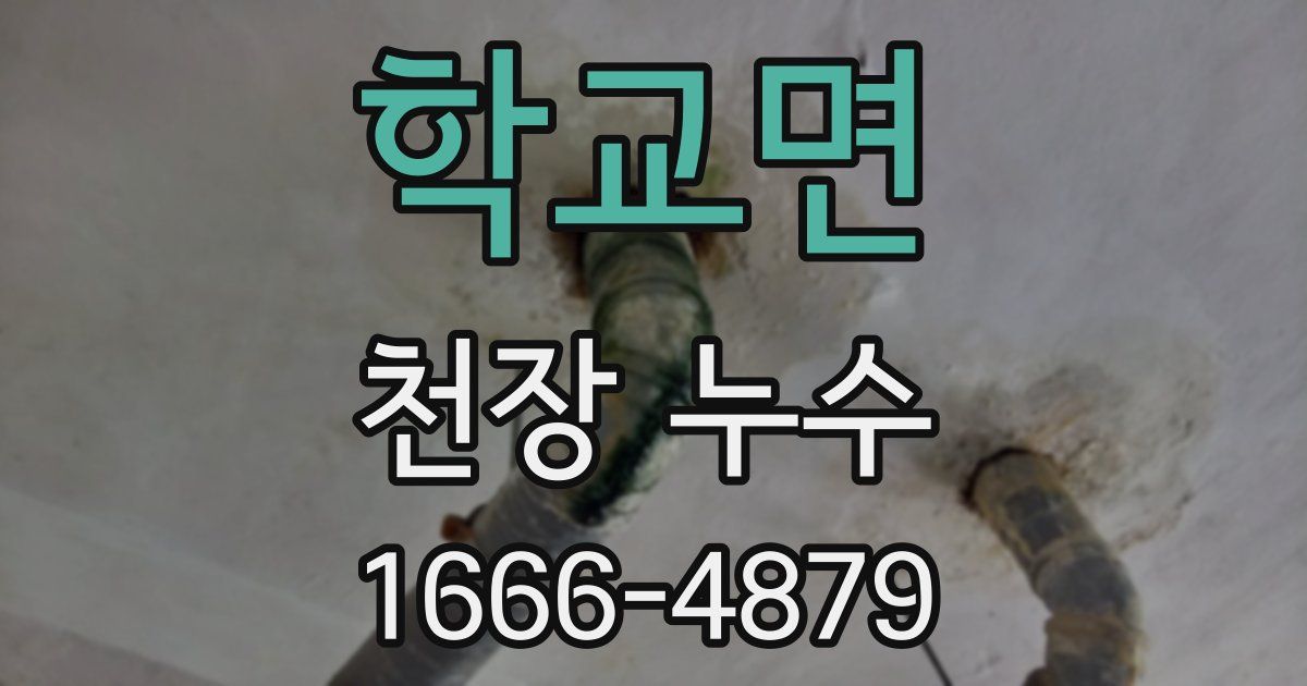 학교면 천장 누수