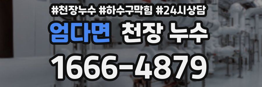 엄다면 천장 누수