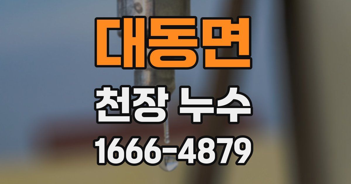 대동면 천장 누수