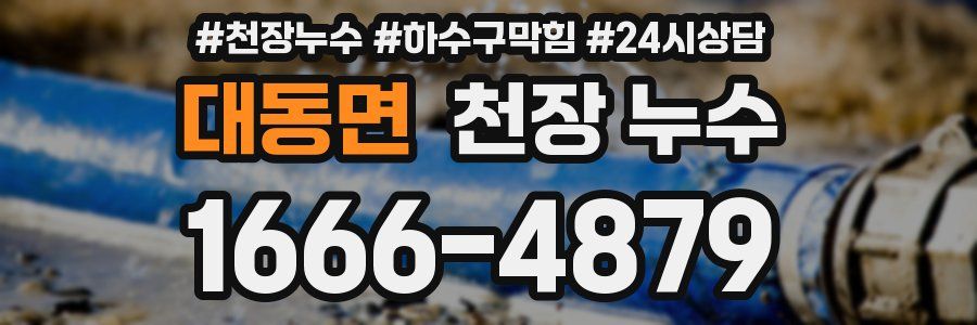 대동면 천장 누수