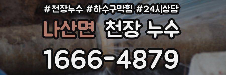 나산면 천장 누수