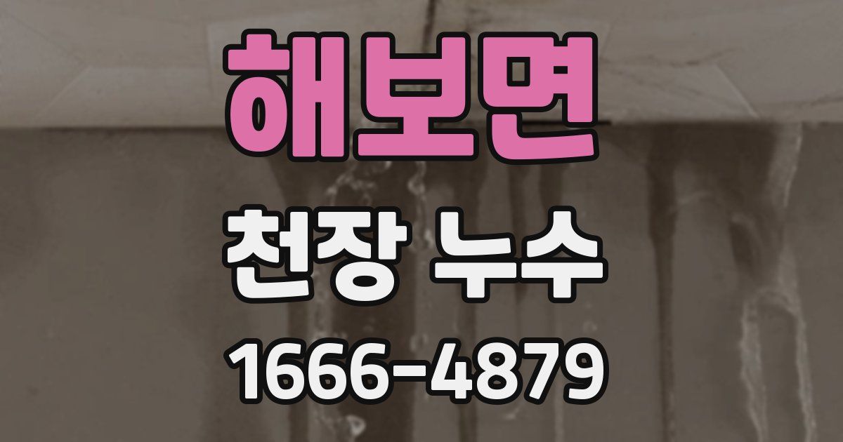 해보면 천장 누수