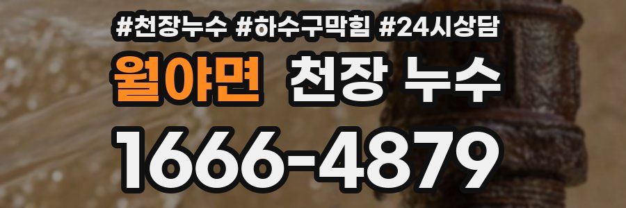 월야면 천장 누수