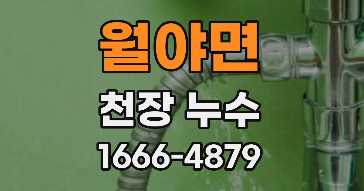 월야면 천장 누수