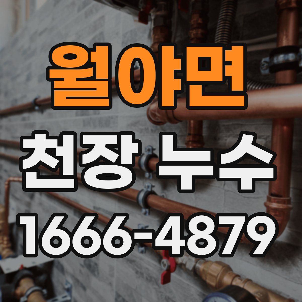 월야면 천장 누수