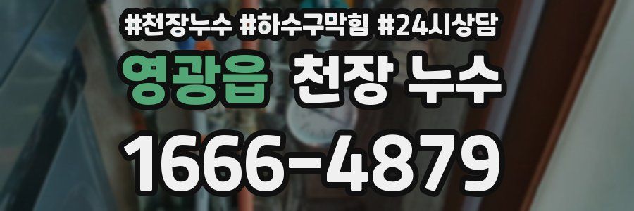 영광읍 천장 누수