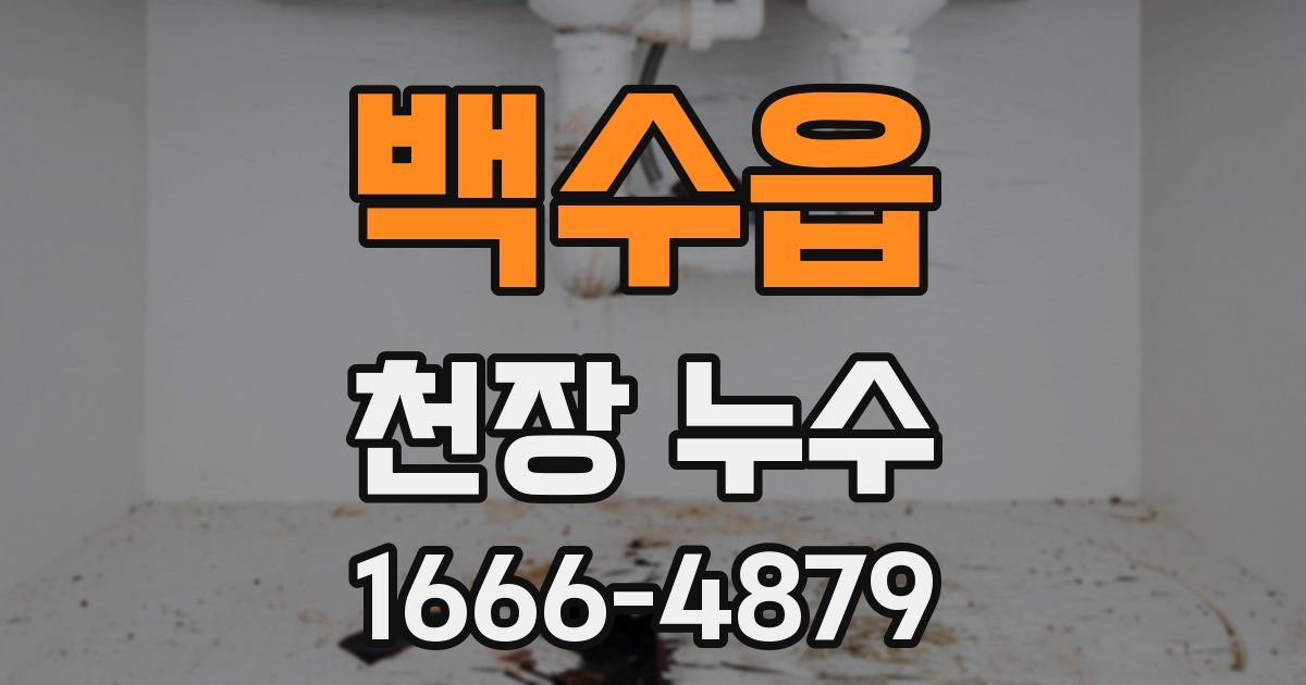 백수읍 천장 누수