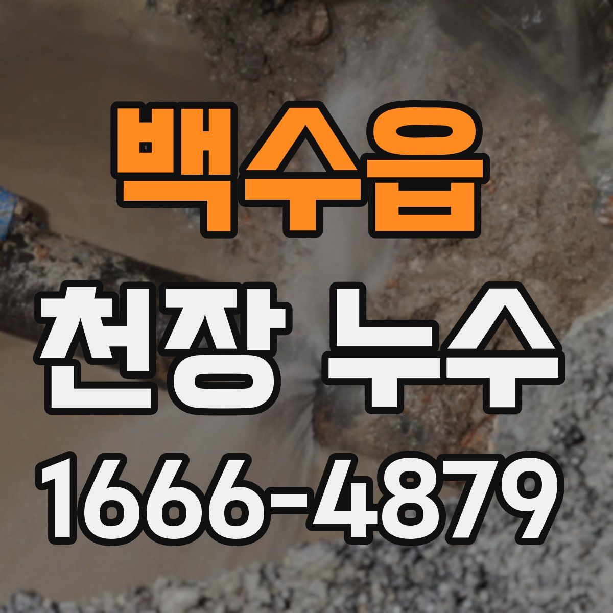 백수읍 천장 누수