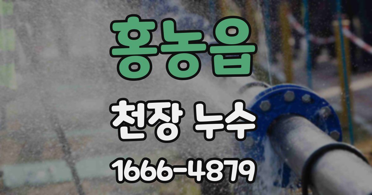 홍농읍 천장 누수