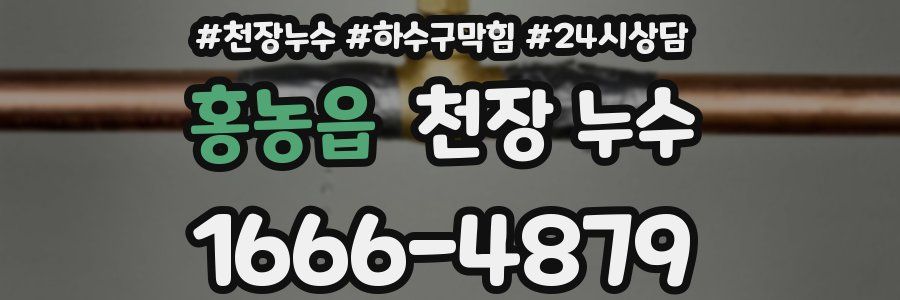 홍농읍 천장 누수