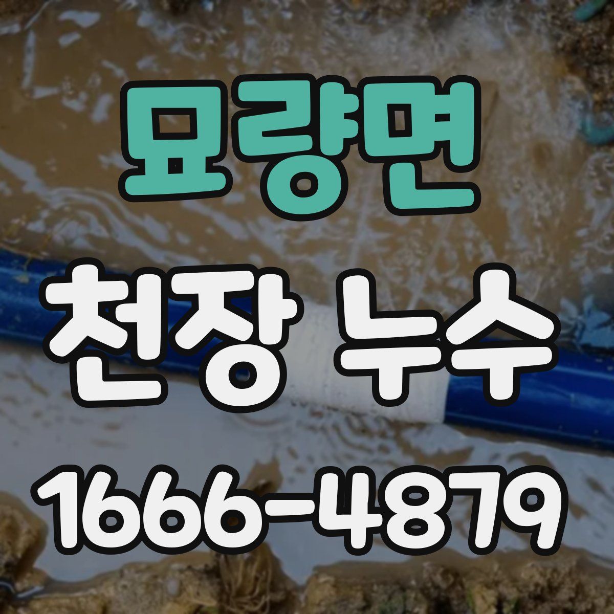 묘량면 천장 누수