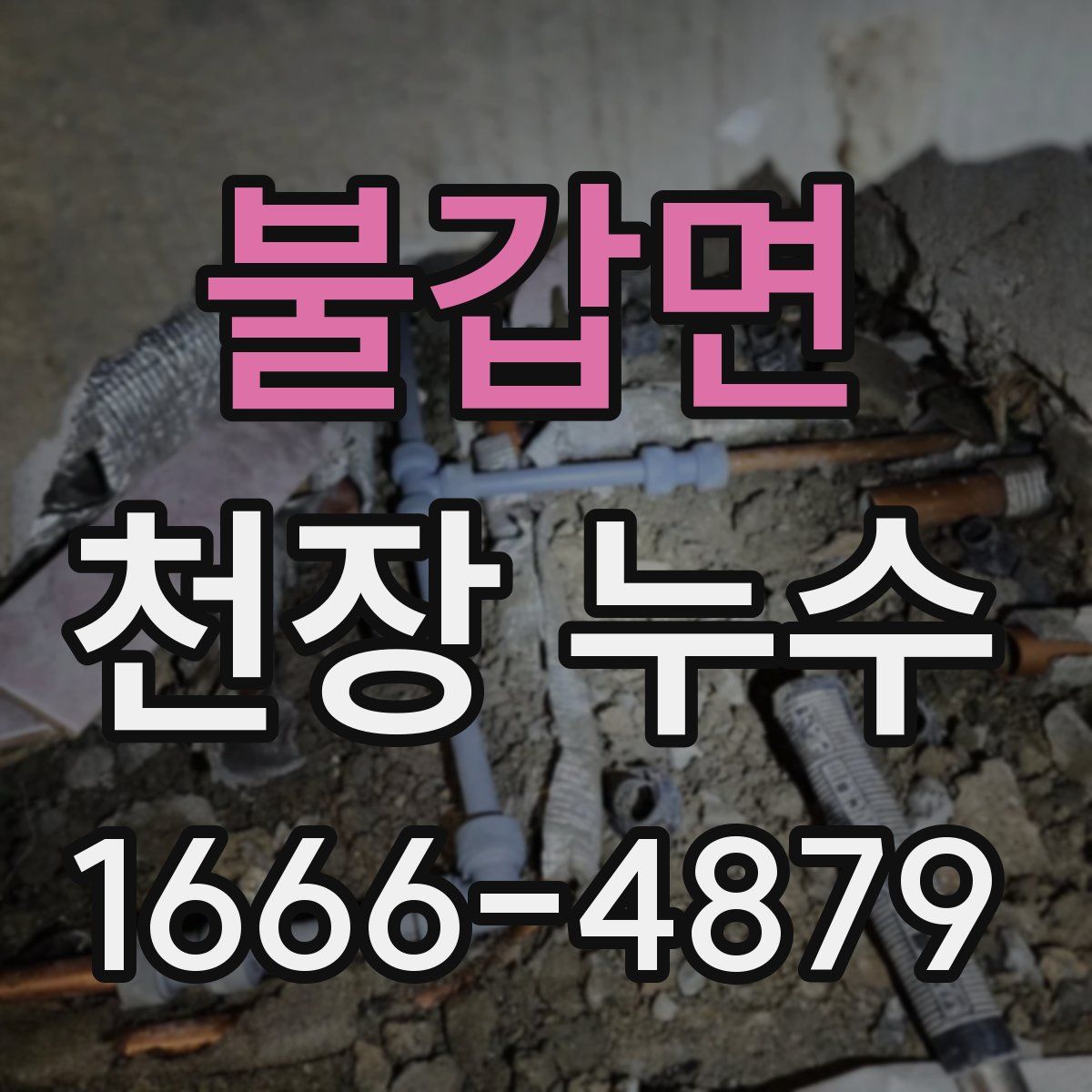 불갑면 천장 누수