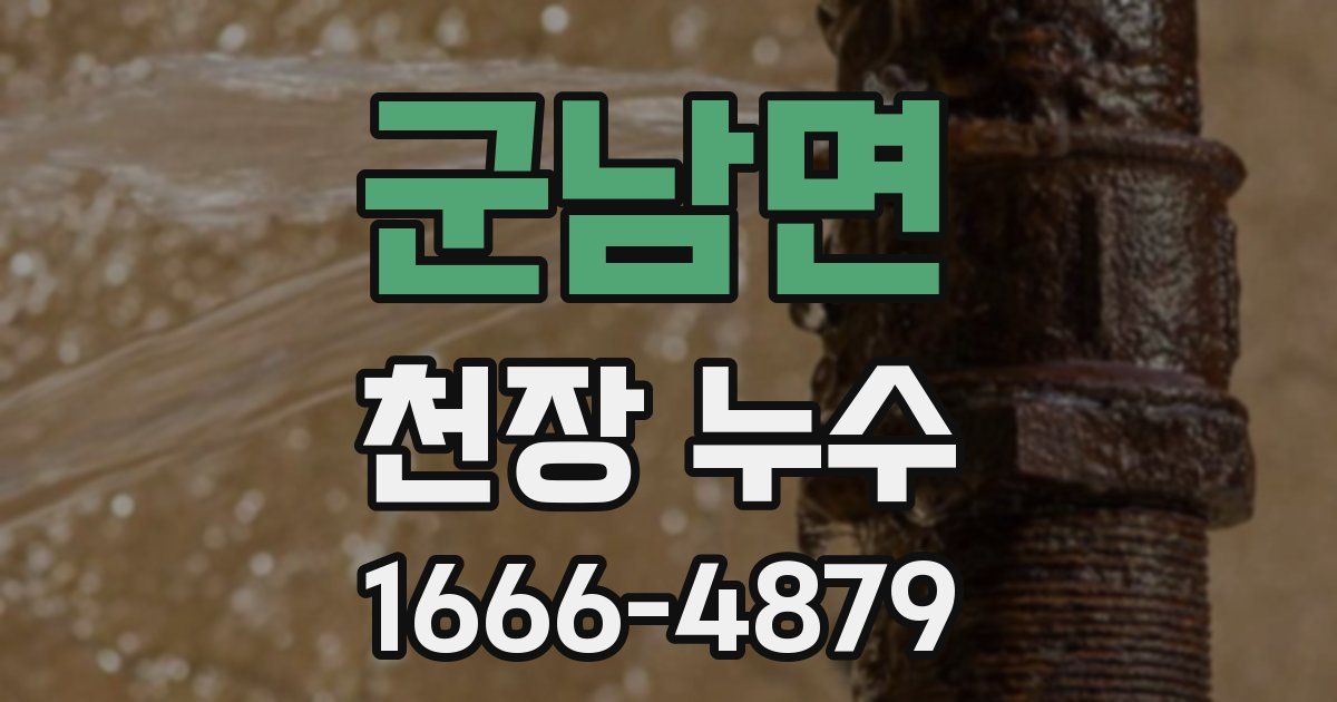 군남면 천장 누수