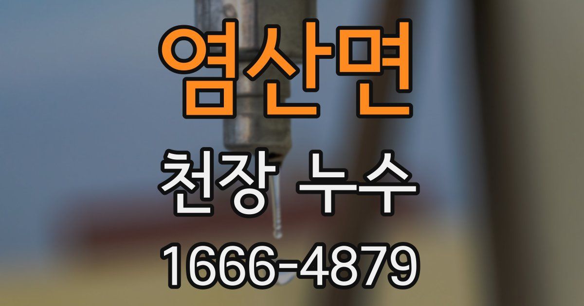 염산면 천장 누수