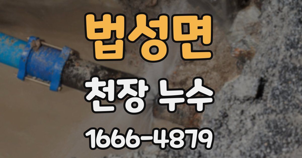 법성면 천장 누수