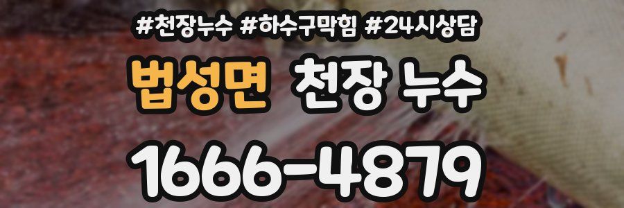 법성면 천장 누수