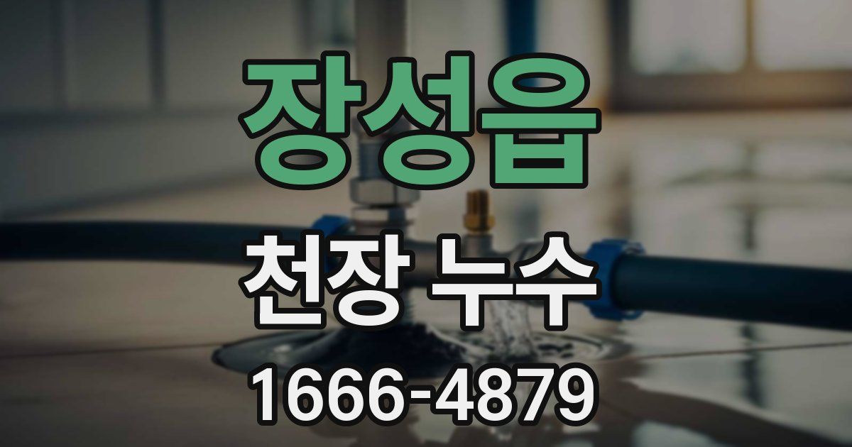 장성읍 천장 누수