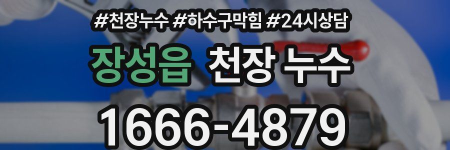 장성읍 천장 누수