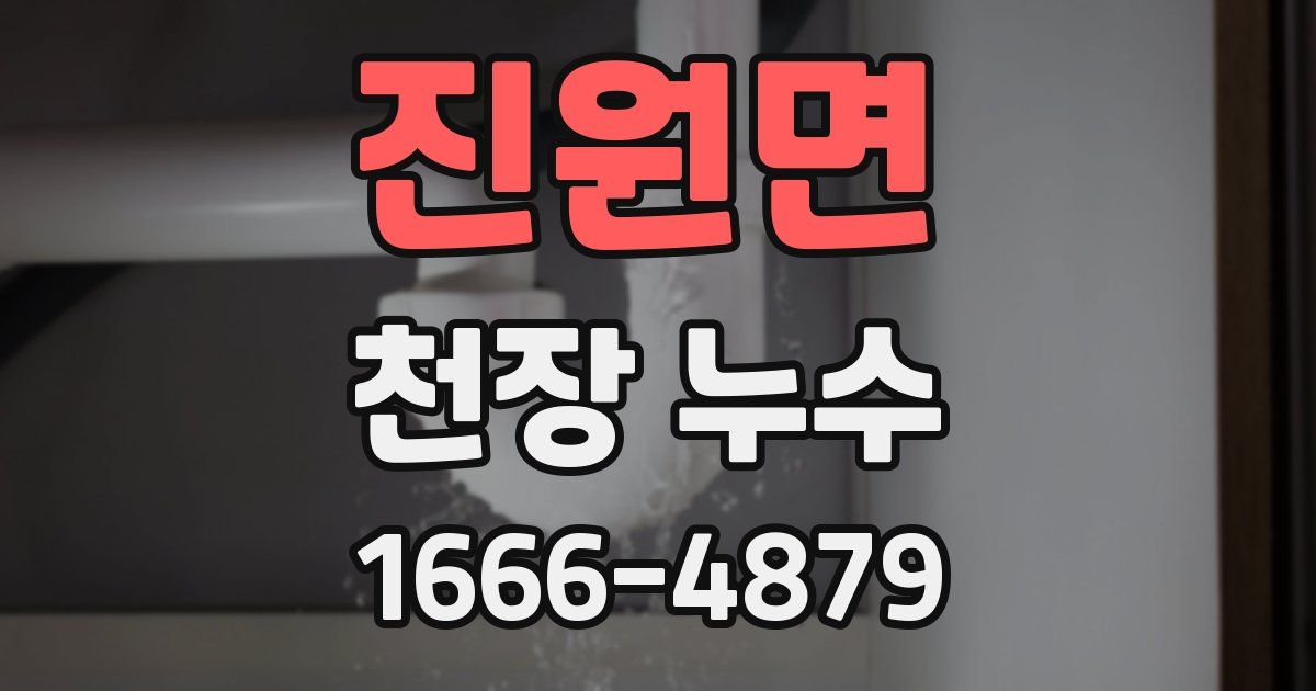 진원면 천장 누수