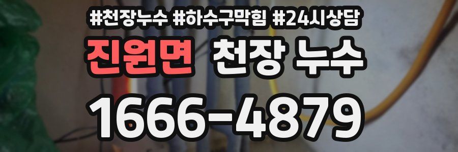 진원면 천장 누수