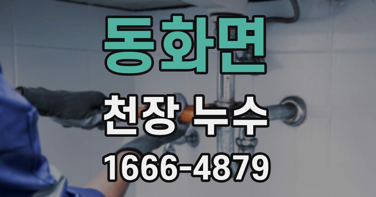 동화면 천장 누수