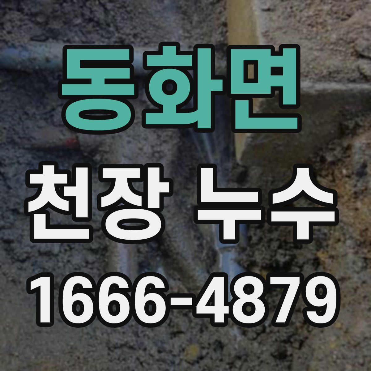 동화면 천장 누수