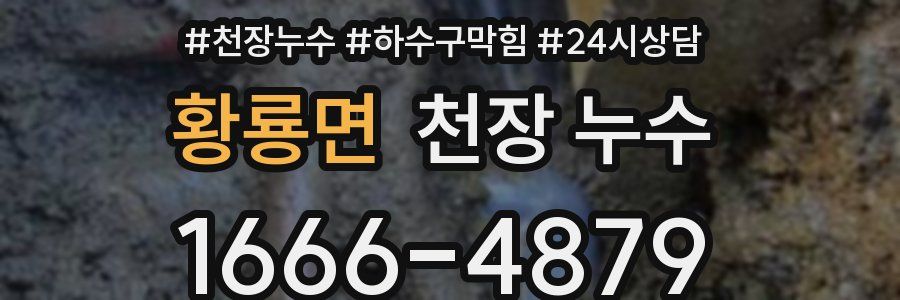 황룡면 천장 누수