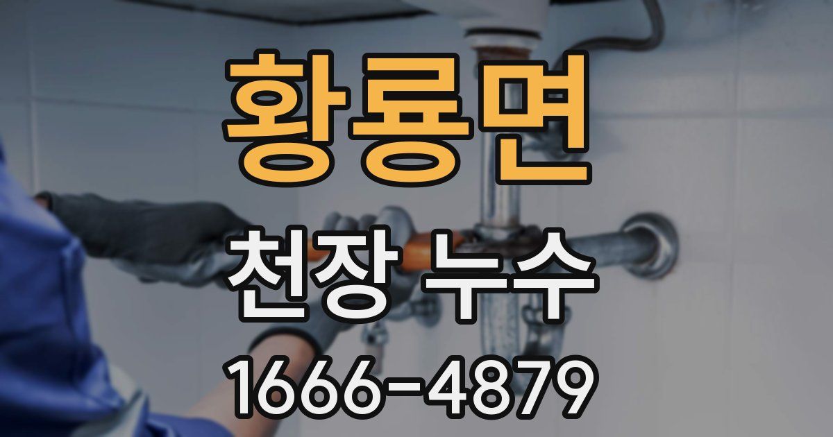 황룡면 천장 누수