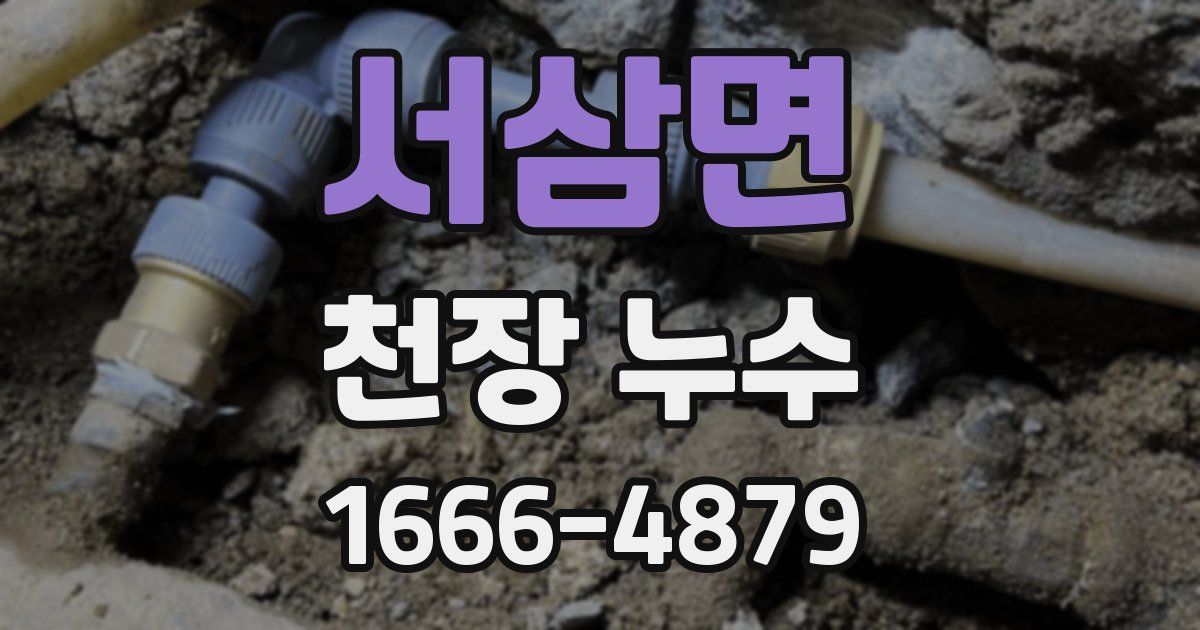 서삼면 천장 누수