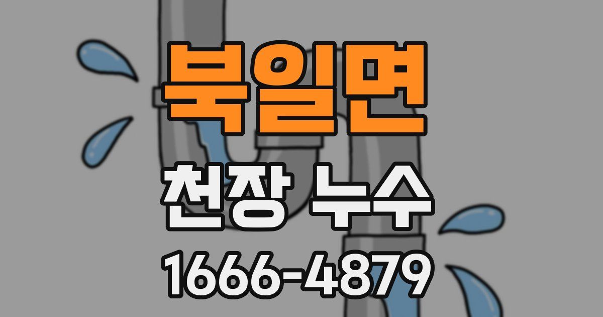 북일면 천장 누수