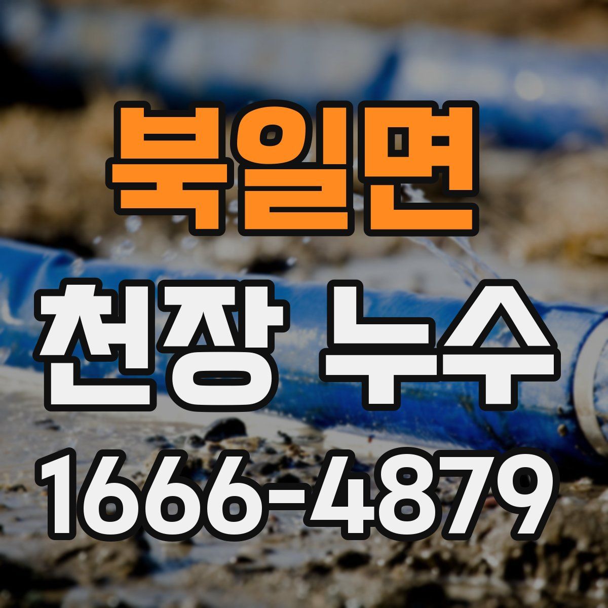 북일면 천장 누수