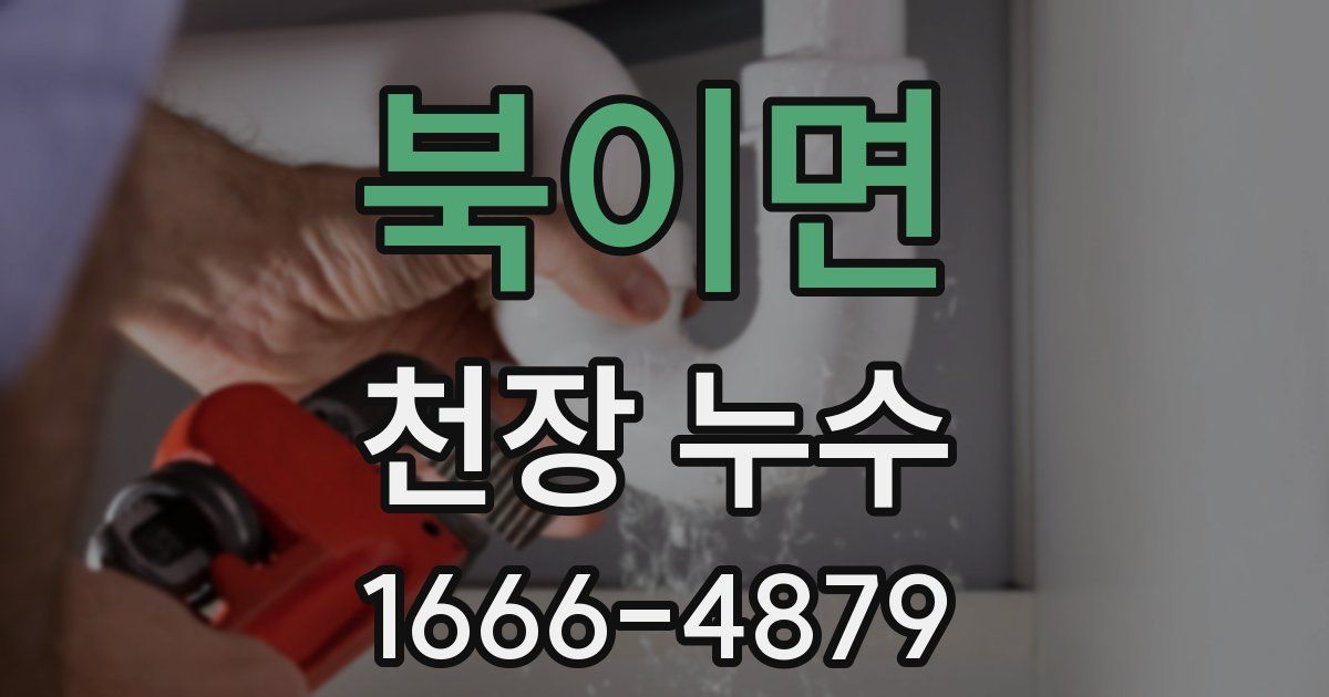 북이면 천장 누수