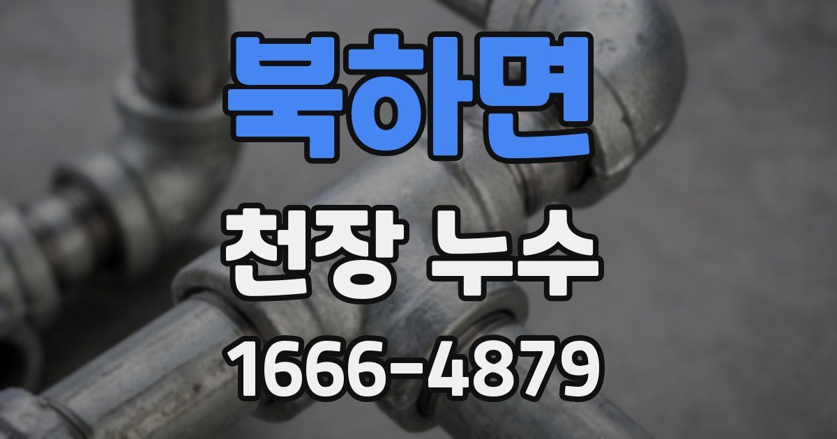 북하면 천장 누수